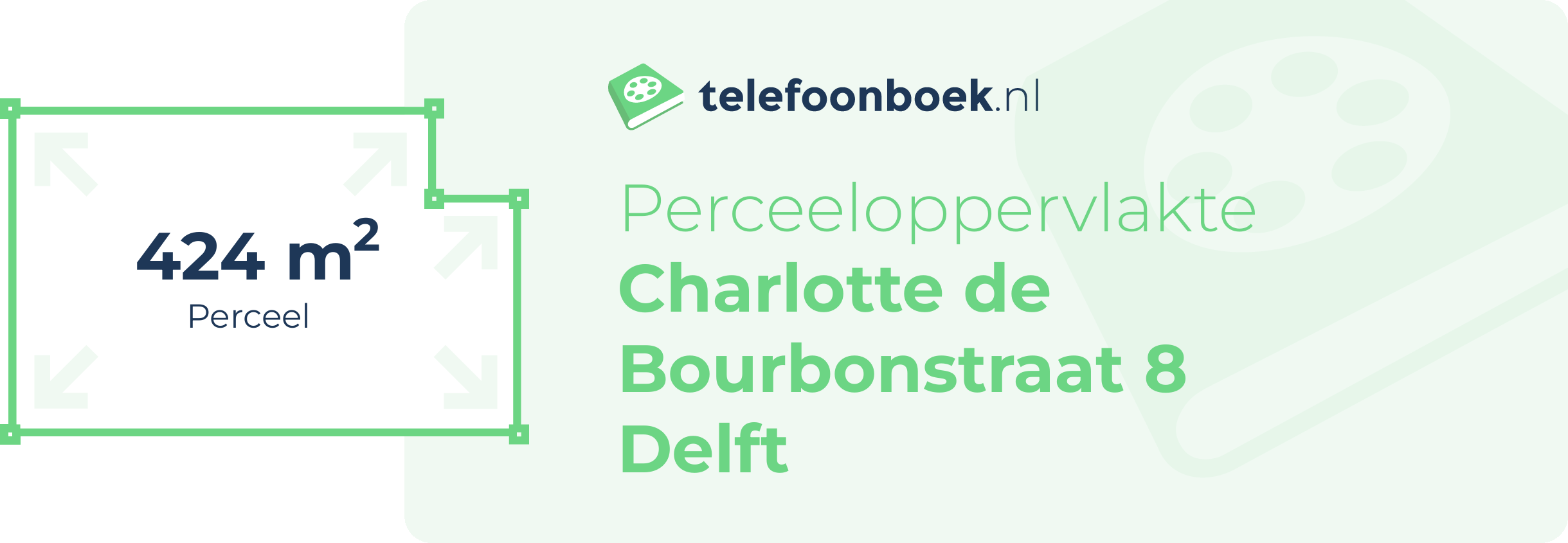 Perceeloppervlakte Charlotte De Bourbonstraat 8 Delft