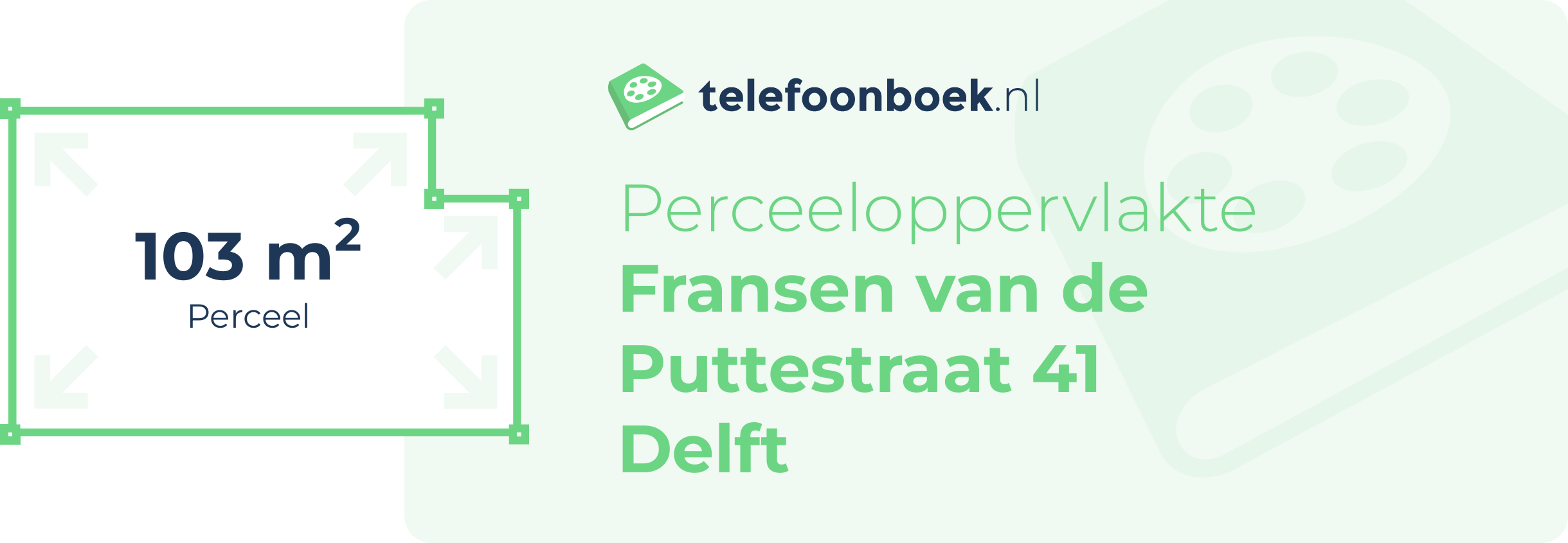 Perceeloppervlakte Fransen Van De Puttestraat 41 Delft