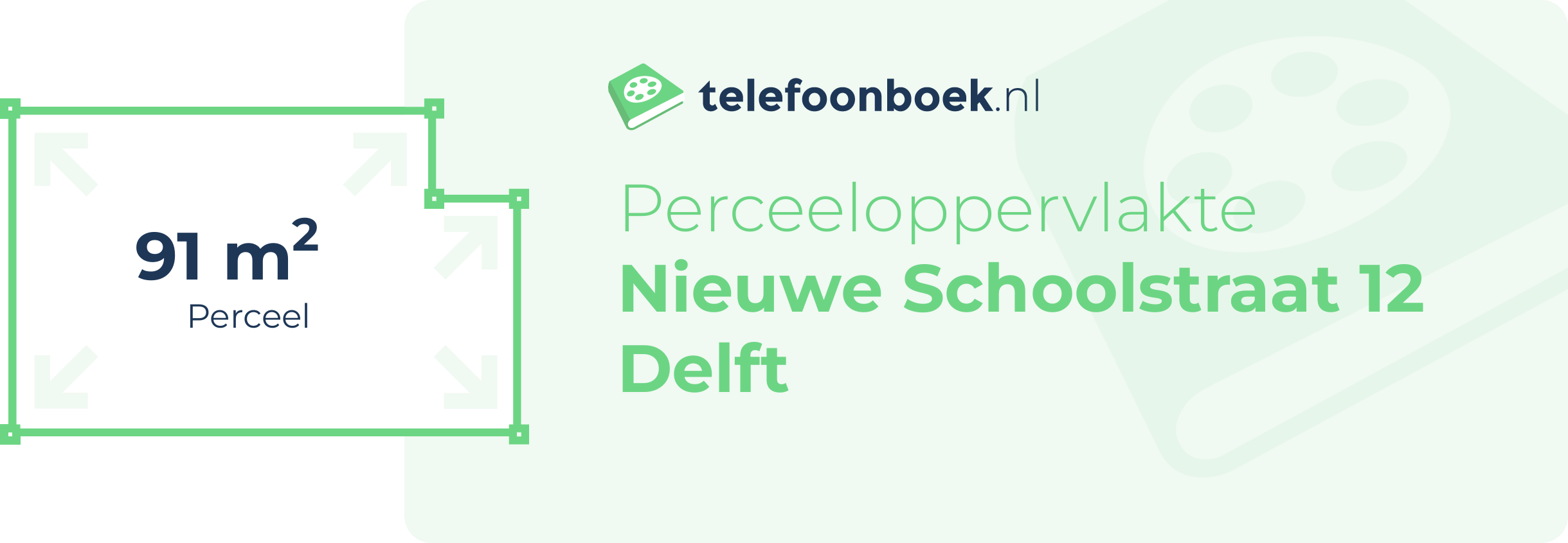 Perceeloppervlakte Nieuwe Schoolstraat 12 Delft