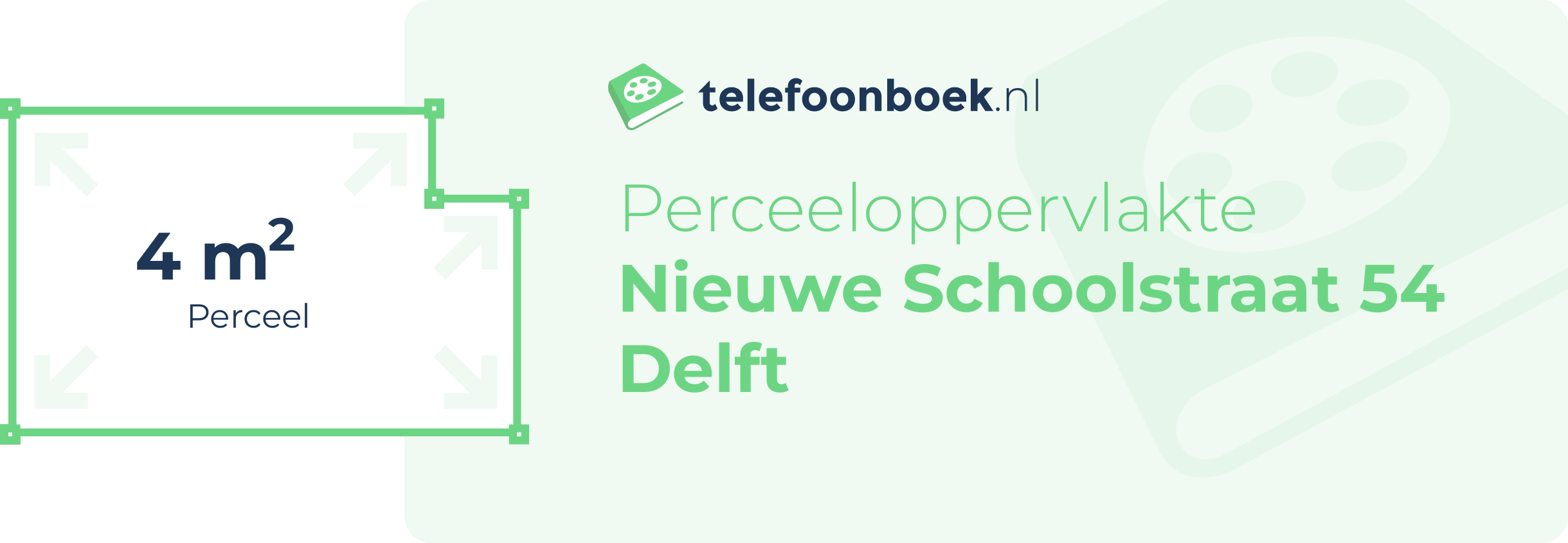 Perceeloppervlakte Nieuwe Schoolstraat 54 Delft