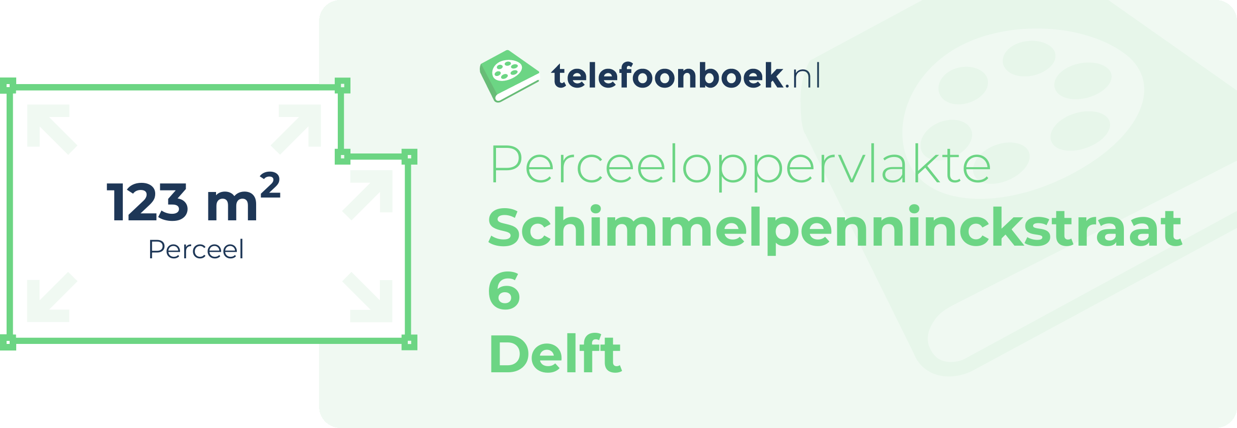 Perceeloppervlakte Schimmelpenninckstraat 6 Delft