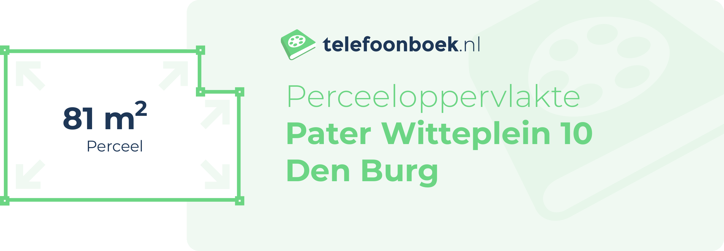 Perceeloppervlakte Pater Witteplein 10 Den Burg