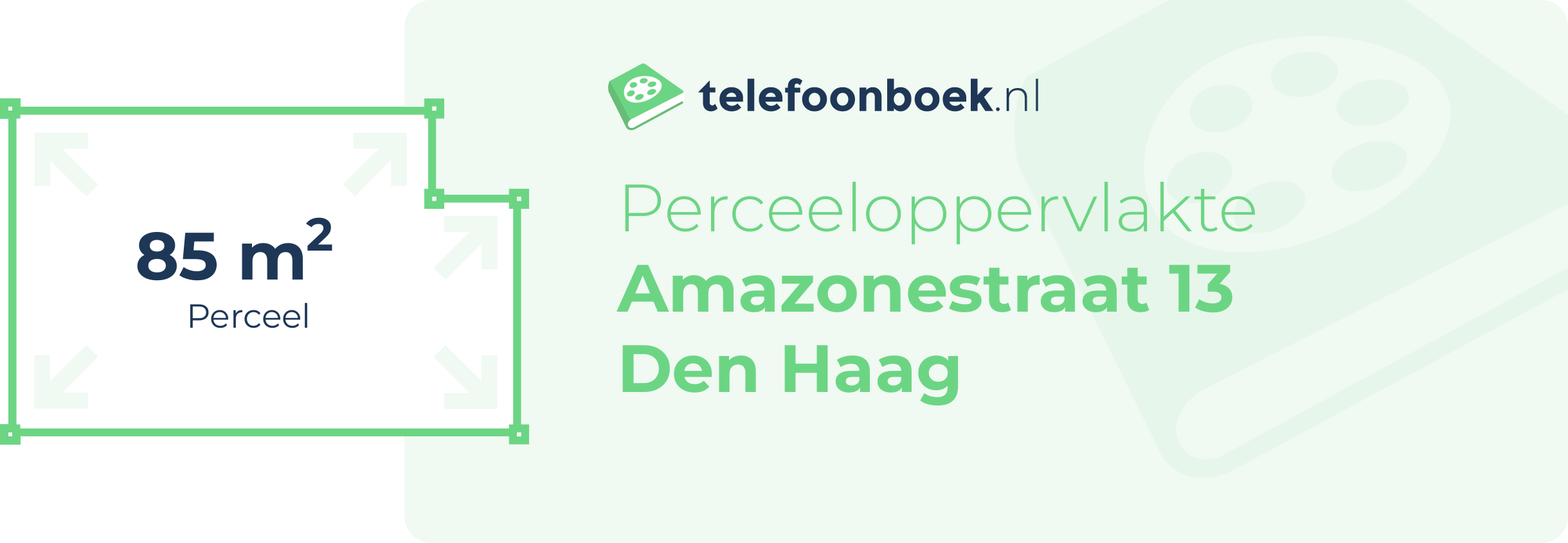 Perceeloppervlakte Amazonestraat 13 Den Haag