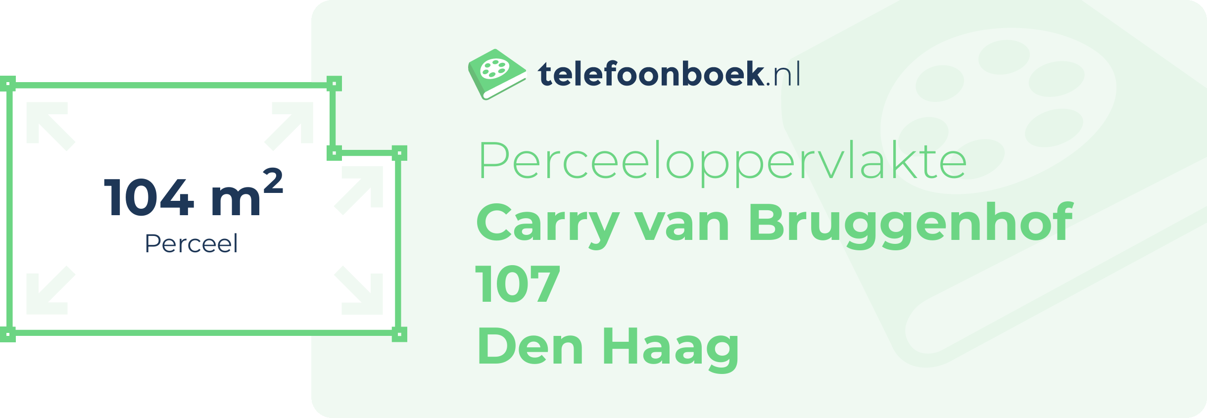 Perceeloppervlakte Carry Van Bruggenhof 107 Den Haag