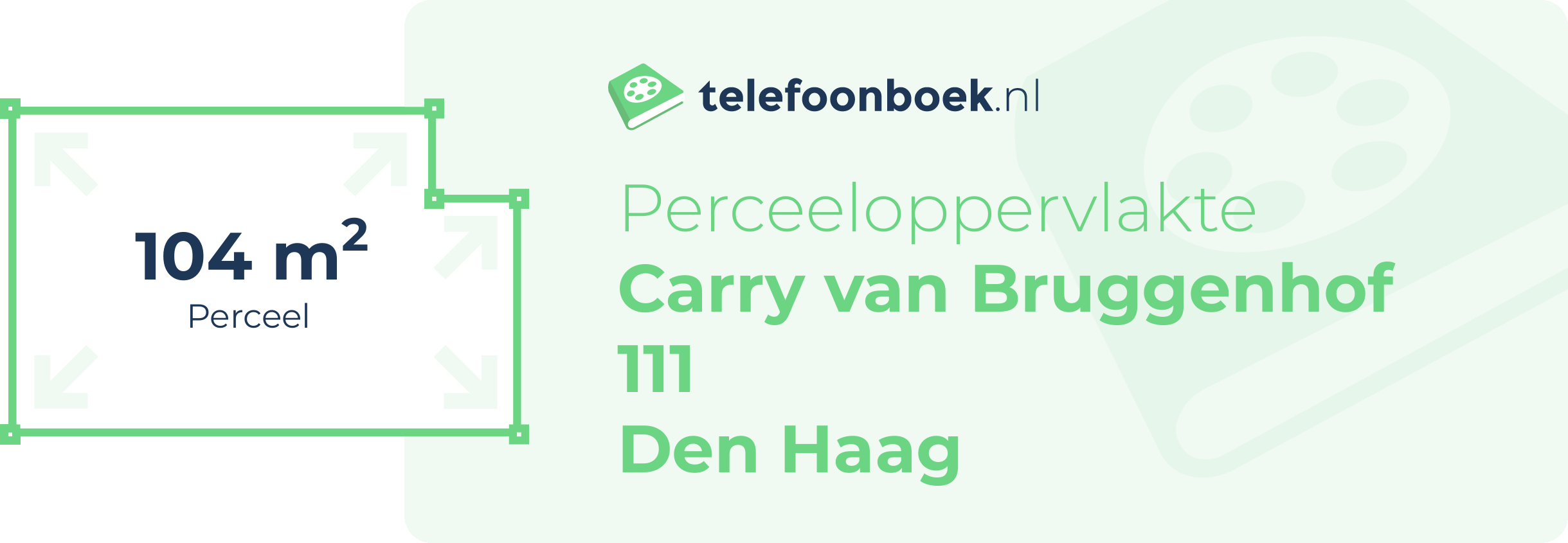 Perceeloppervlakte Carry Van Bruggenhof 111 Den Haag