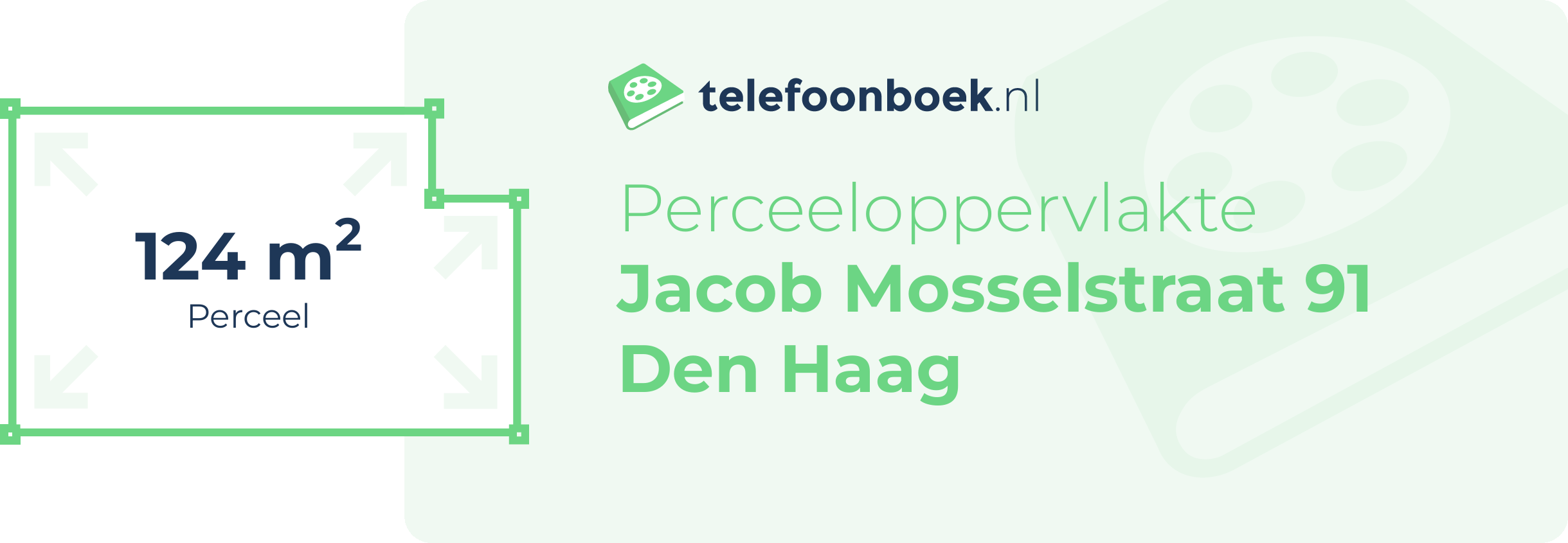 Perceeloppervlakte Jacob Mosselstraat 91 Den Haag