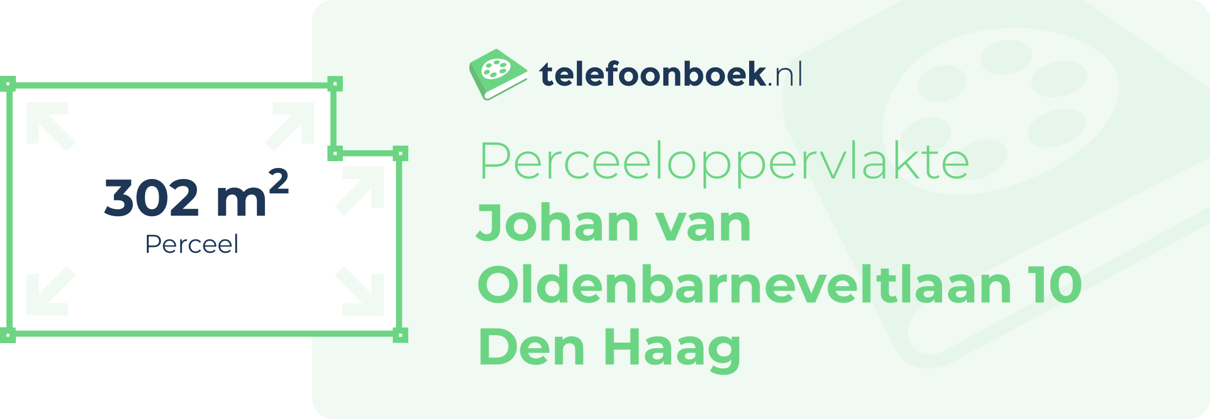 Perceeloppervlakte Johan Van Oldenbarneveltlaan 10 Den Haag