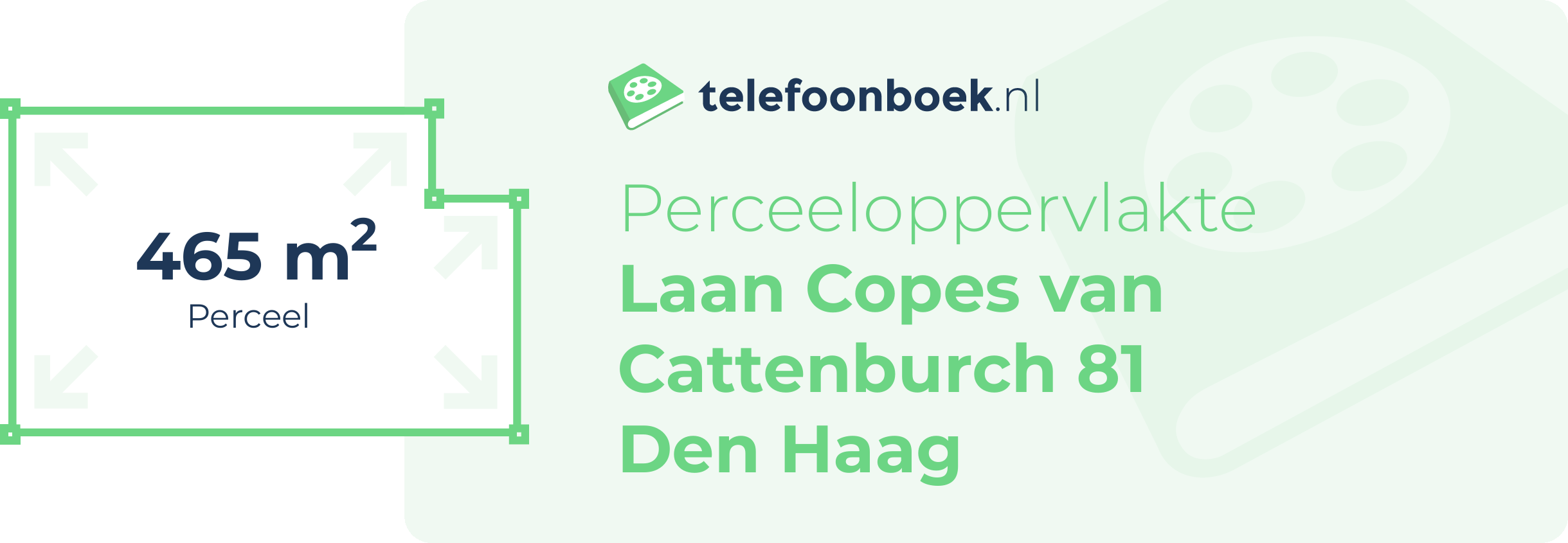 Perceeloppervlakte Laan Copes Van Cattenburch 81 Den Haag