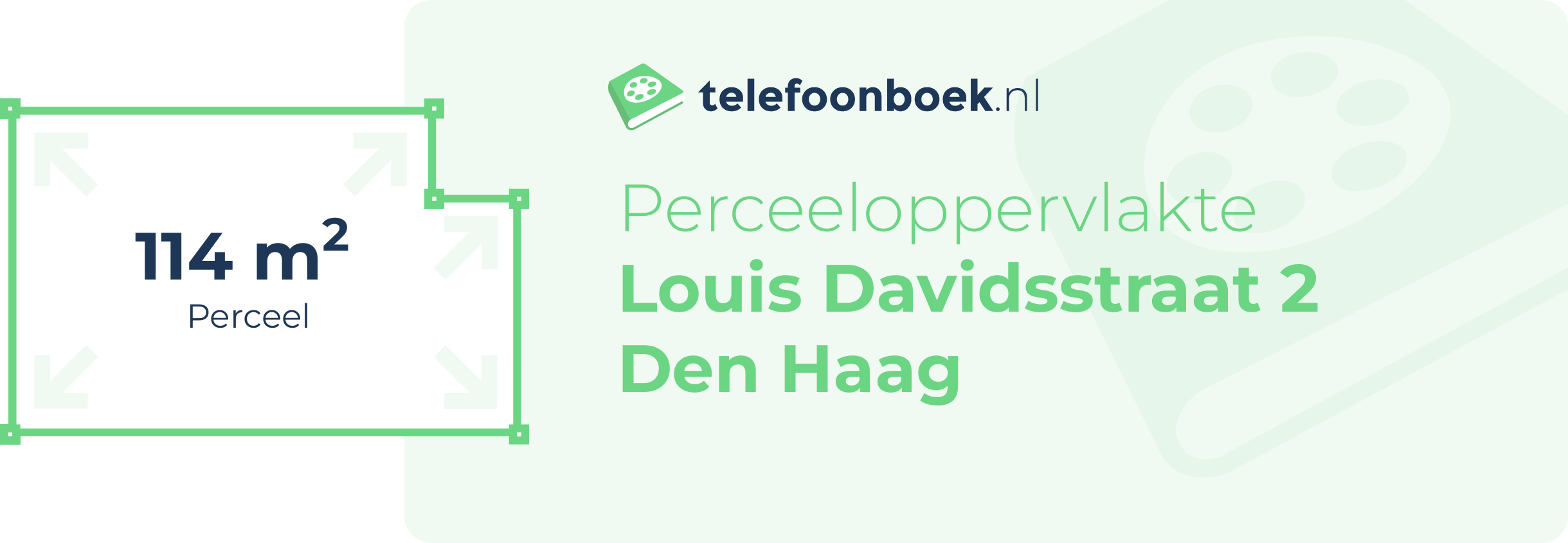 Perceeloppervlakte Louis Davidsstraat 2 Den Haag