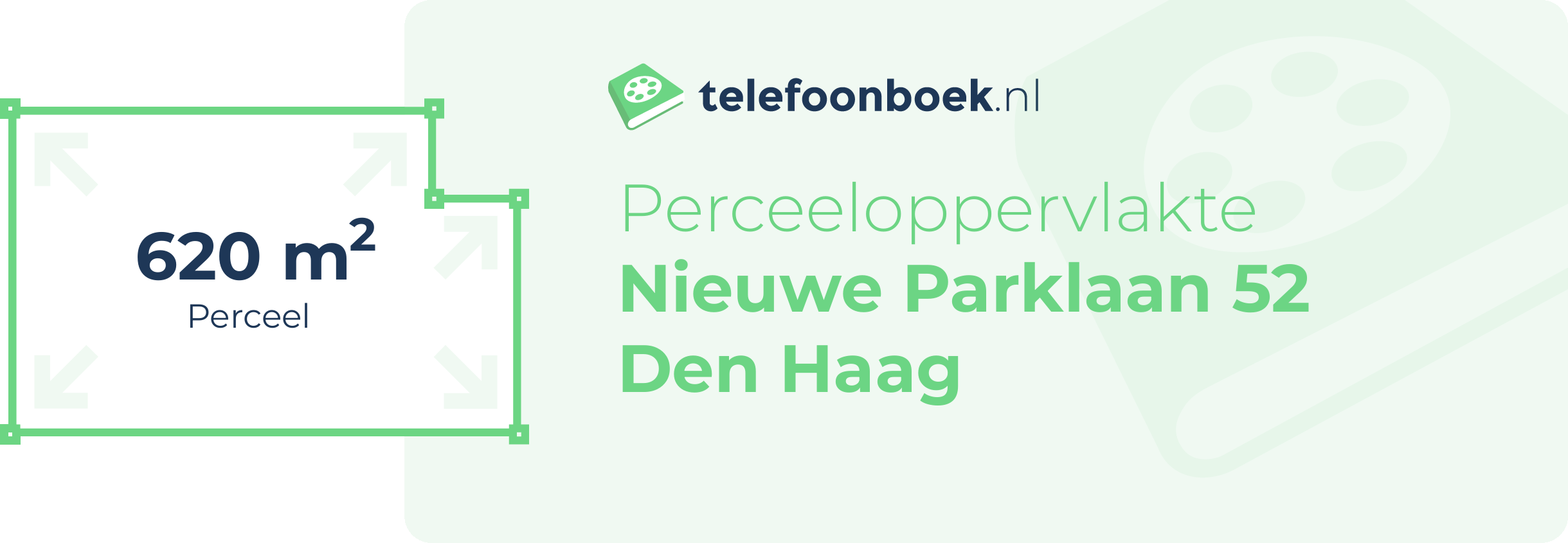 Perceeloppervlakte Nieuwe Parklaan 52 Den Haag