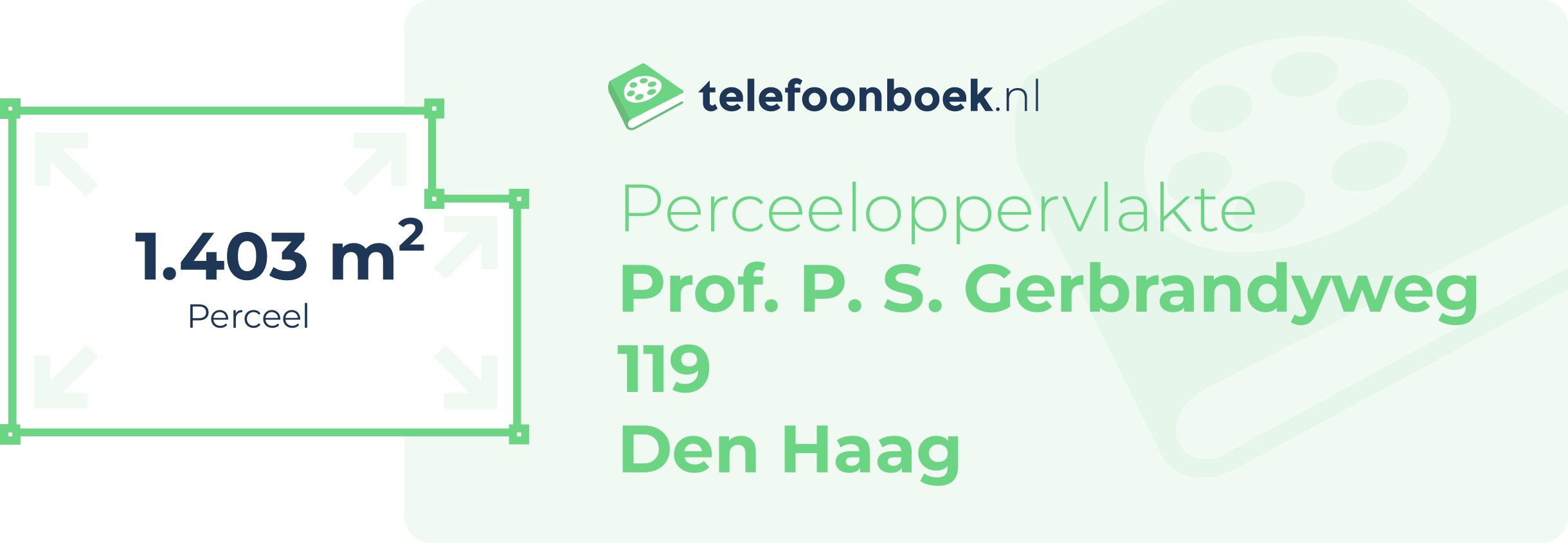 Perceeloppervlakte Prof. P. S. Gerbrandyweg 119 Den Haag