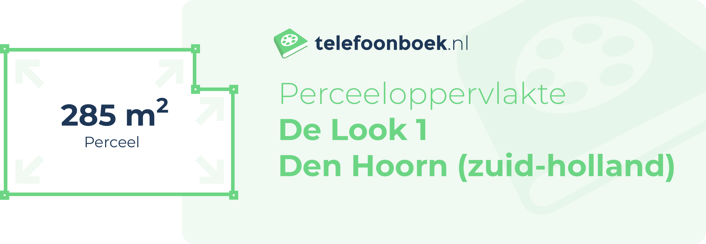 Perceeloppervlakte De Look 1 Den Hoorn (Zuid-Holland)