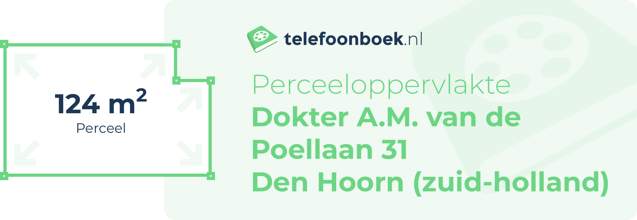 Perceeloppervlakte Dokter A.M. Van De Poellaan 31 Den Hoorn (Zuid-Holland)