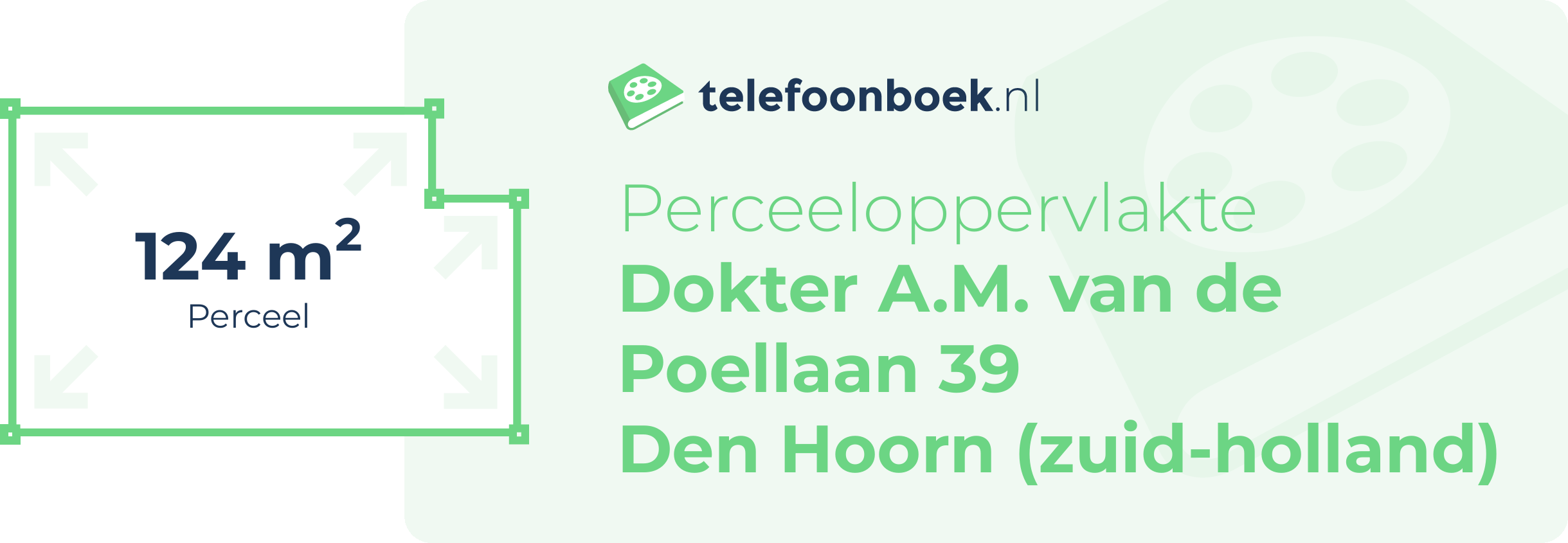 Perceeloppervlakte Dokter A.M. Van De Poellaan 39 Den Hoorn (Zuid-Holland)