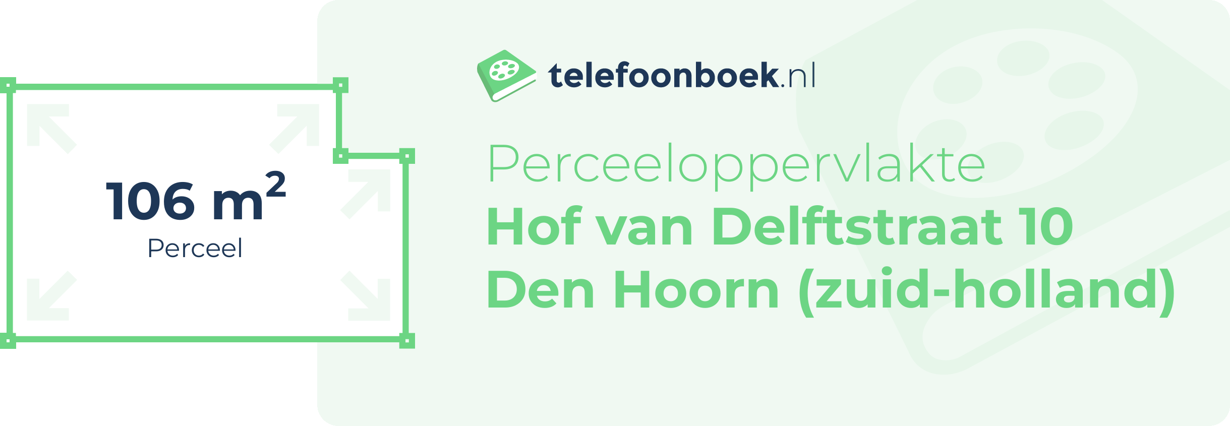 Perceeloppervlakte Hof Van Delftstraat 10 Den Hoorn (Zuid-Holland)