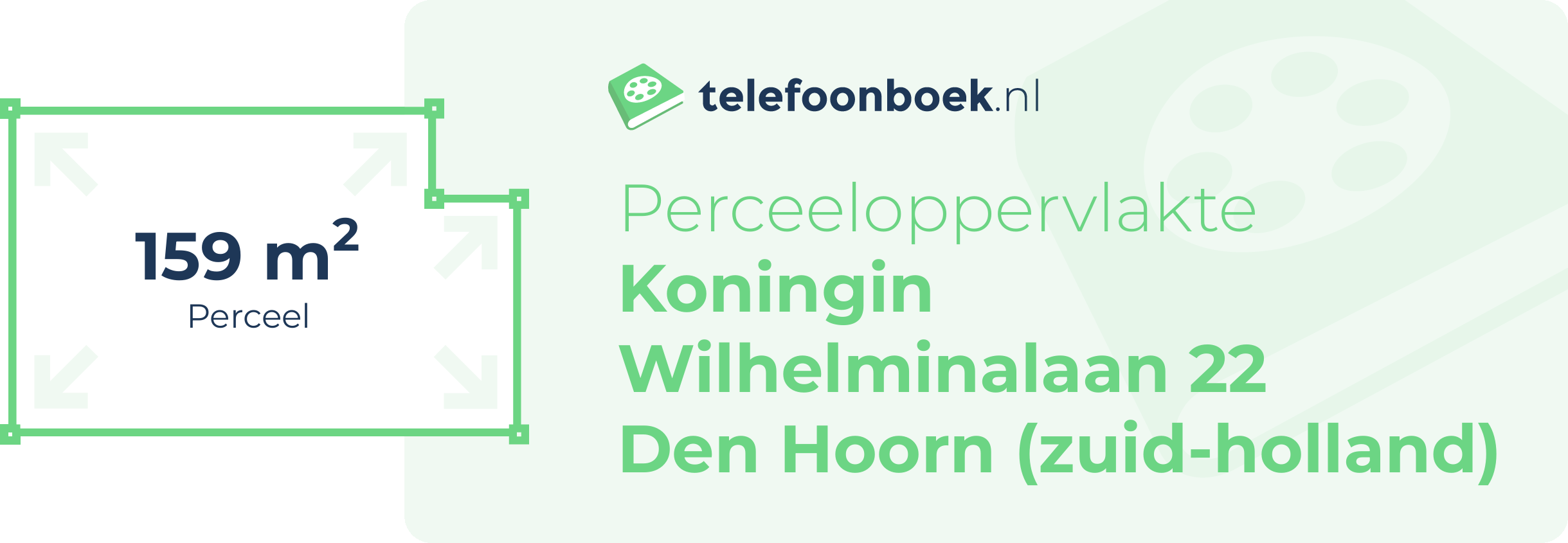 Perceeloppervlakte Koningin Wilhelminalaan 22 Den Hoorn (Zuid-Holland)