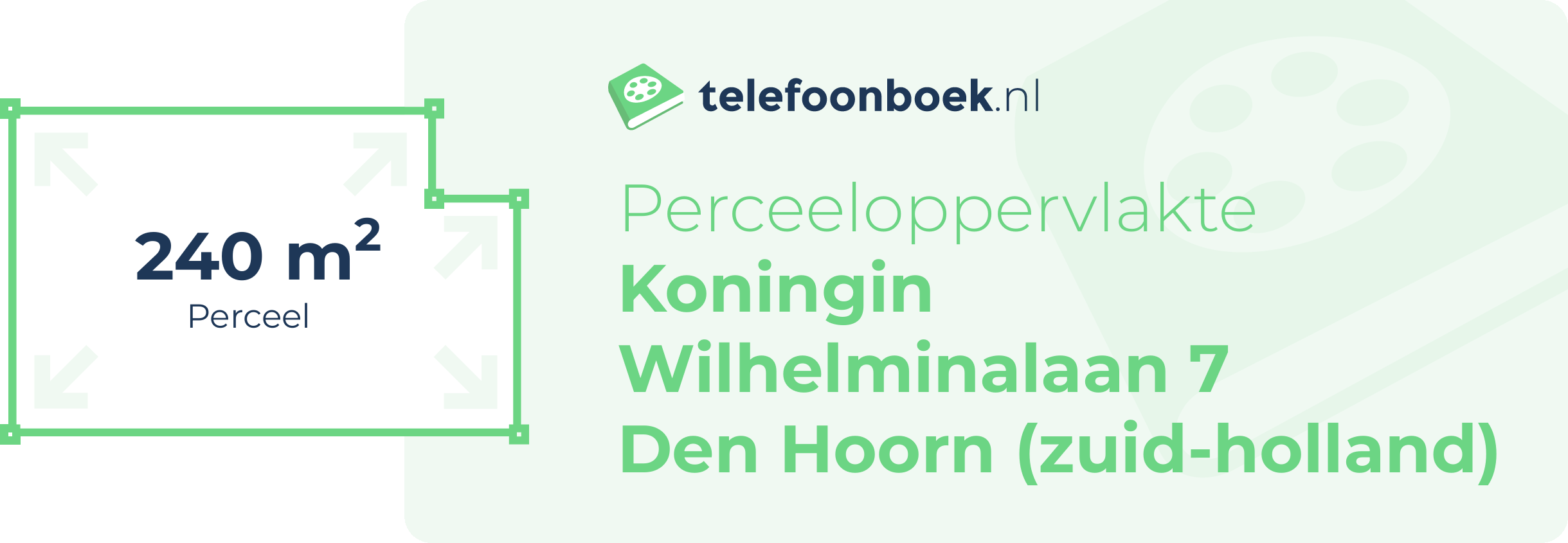 Perceeloppervlakte Koningin Wilhelminalaan 7 Den Hoorn (Zuid-Holland)