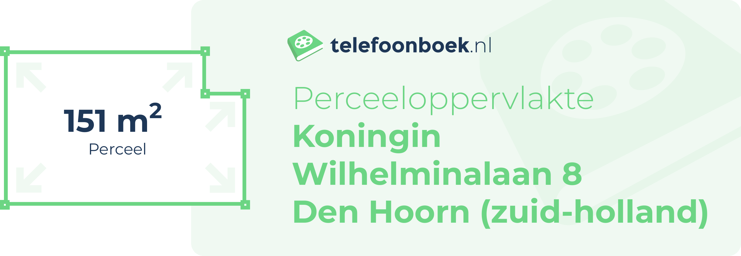 Perceeloppervlakte Koningin Wilhelminalaan 8 Den Hoorn (Zuid-Holland)