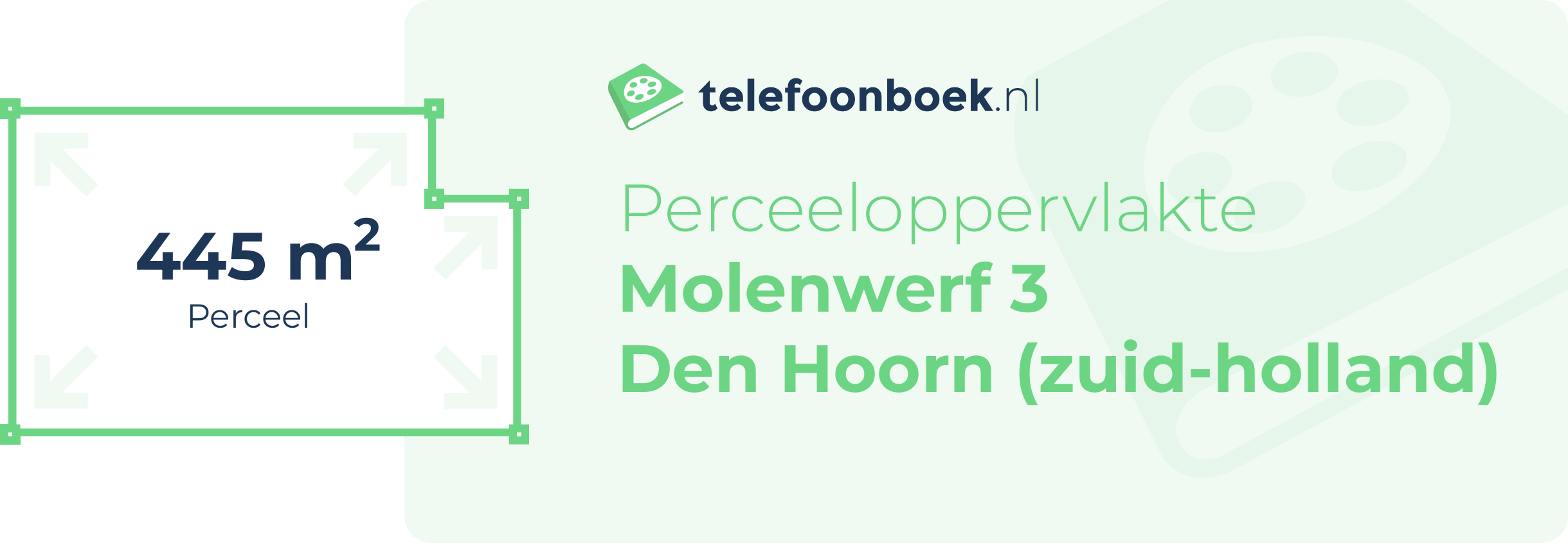 Perceeloppervlakte Molenwerf 3 Den Hoorn (Zuid-Holland)