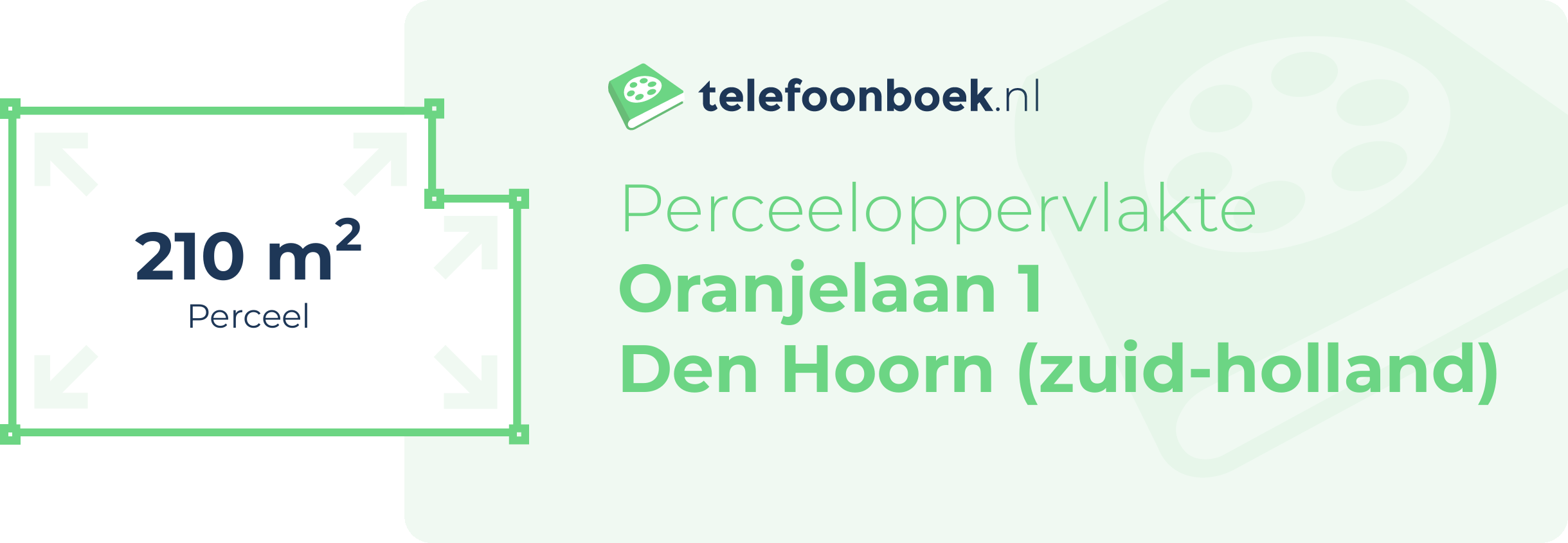 Perceeloppervlakte Oranjelaan 1 Den Hoorn (Zuid-Holland)