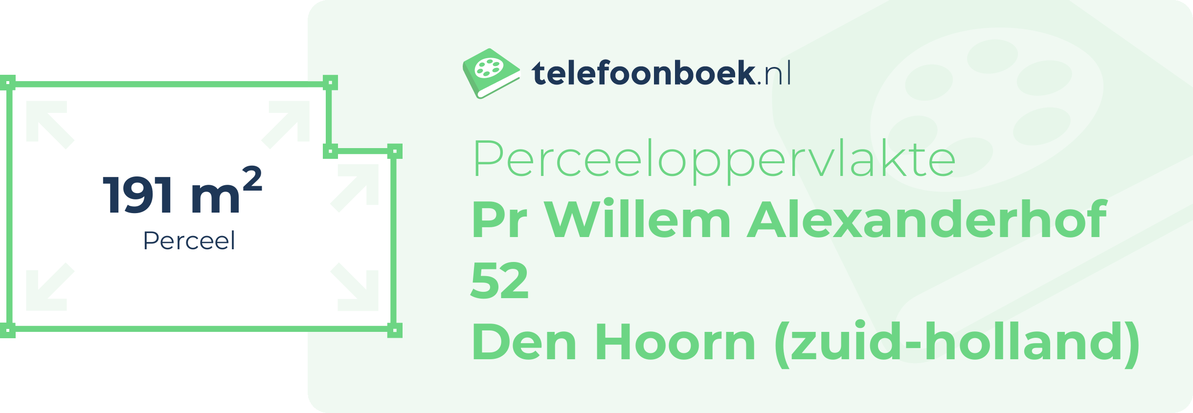 Perceeloppervlakte Pr Willem Alexanderhof 52 Den Hoorn (Zuid-Holland)