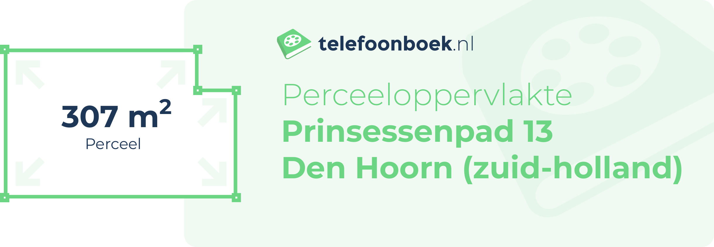 Perceeloppervlakte Prinsessenpad 13 Den Hoorn (Zuid-Holland)