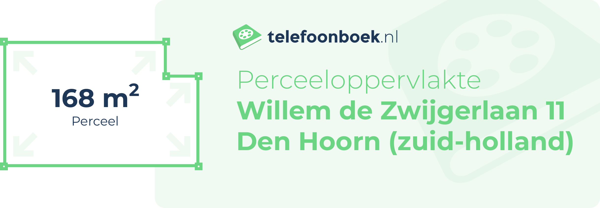 Perceeloppervlakte Willem De Zwijgerlaan 11 Den Hoorn (Zuid-Holland)