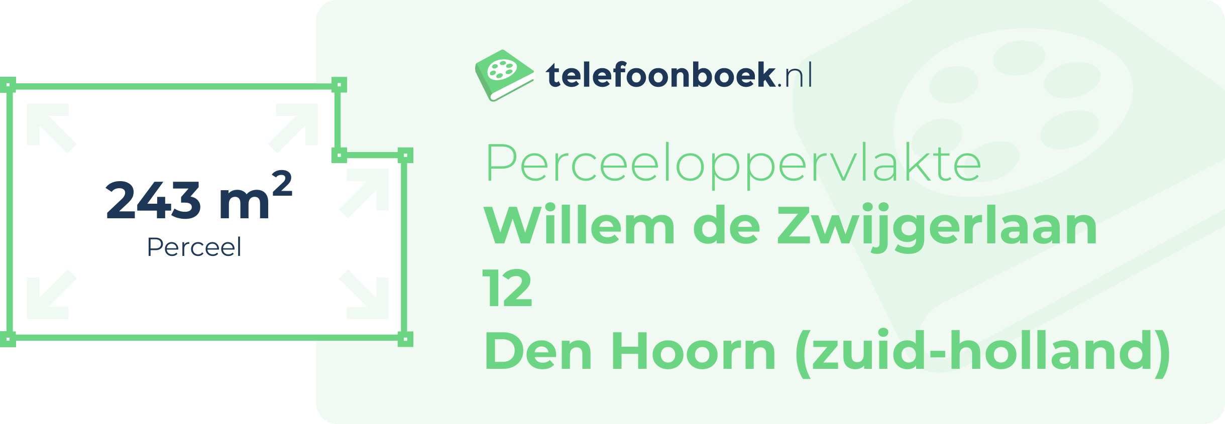 Perceeloppervlakte Willem De Zwijgerlaan 12 Den Hoorn (Zuid-Holland)