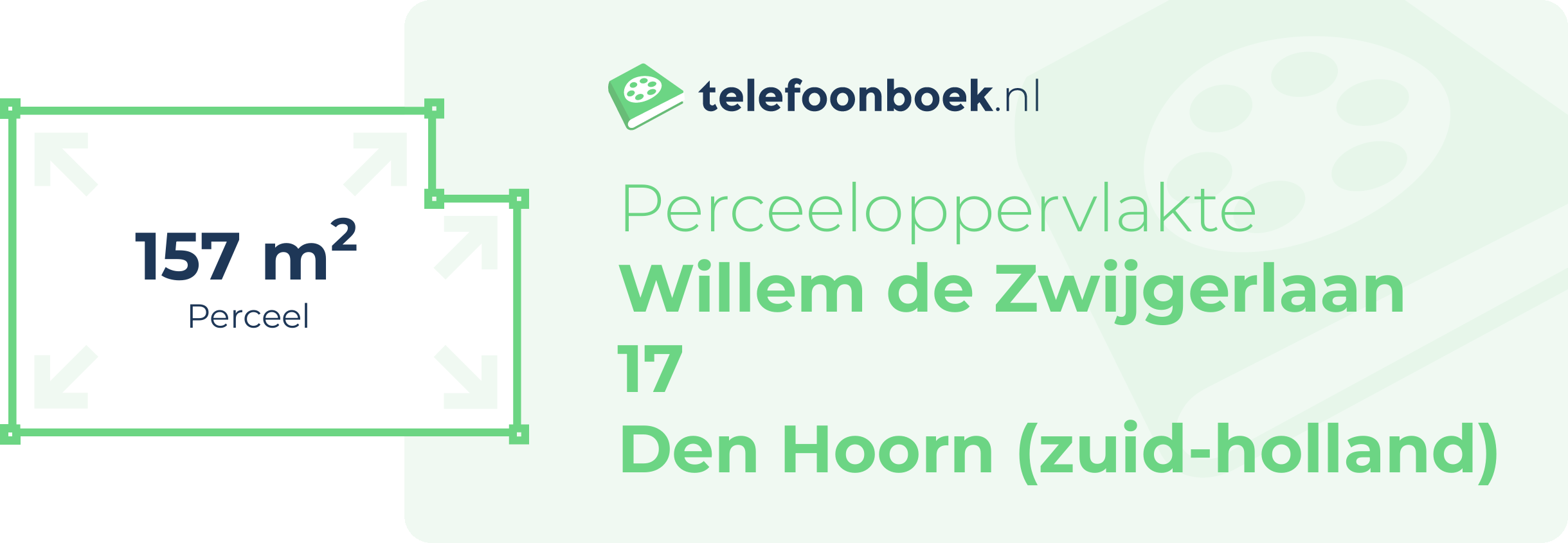 Perceeloppervlakte Willem De Zwijgerlaan 17 Den Hoorn (Zuid-Holland)