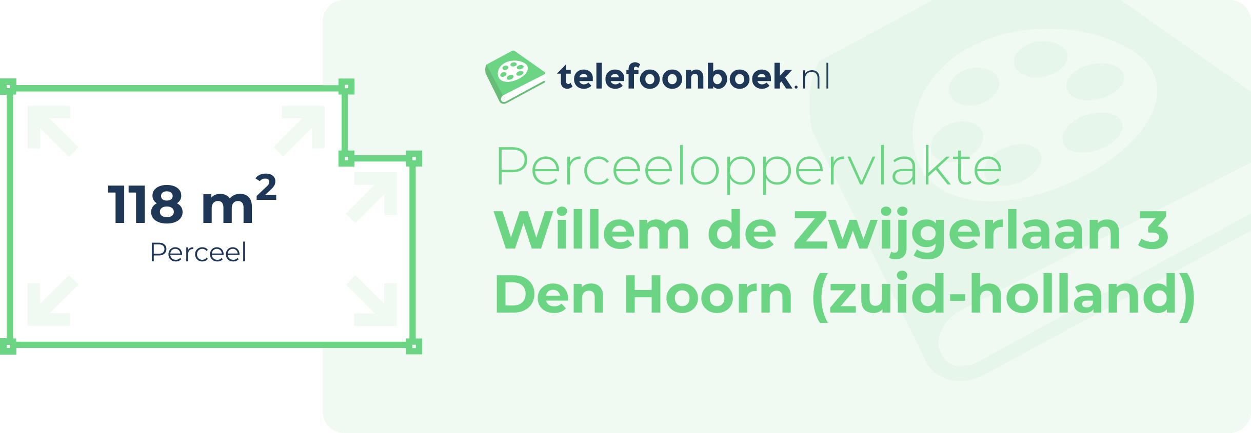 Perceeloppervlakte Willem De Zwijgerlaan 3 Den Hoorn (Zuid-Holland)