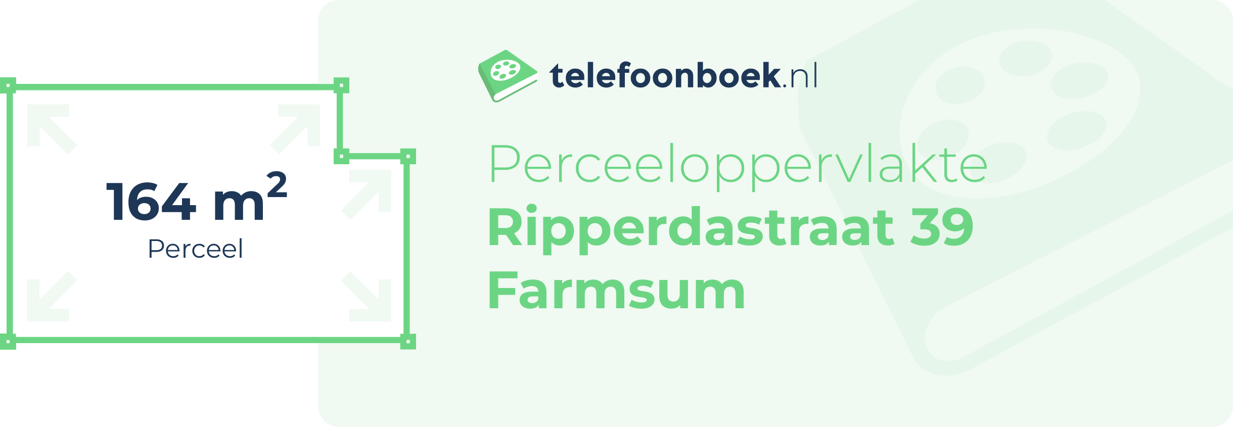 Perceeloppervlakte Ripperdastraat 39 Farmsum