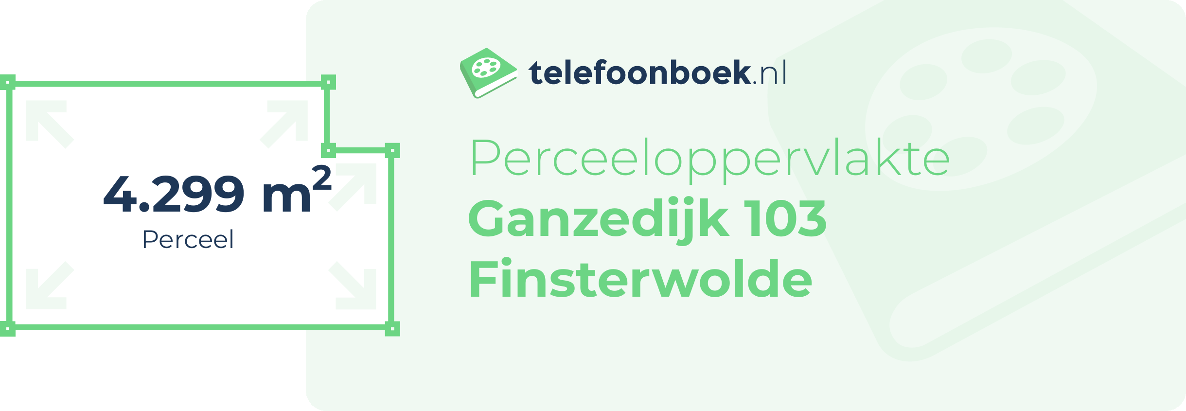 Perceeloppervlakte Ganzedijk 103 Finsterwolde