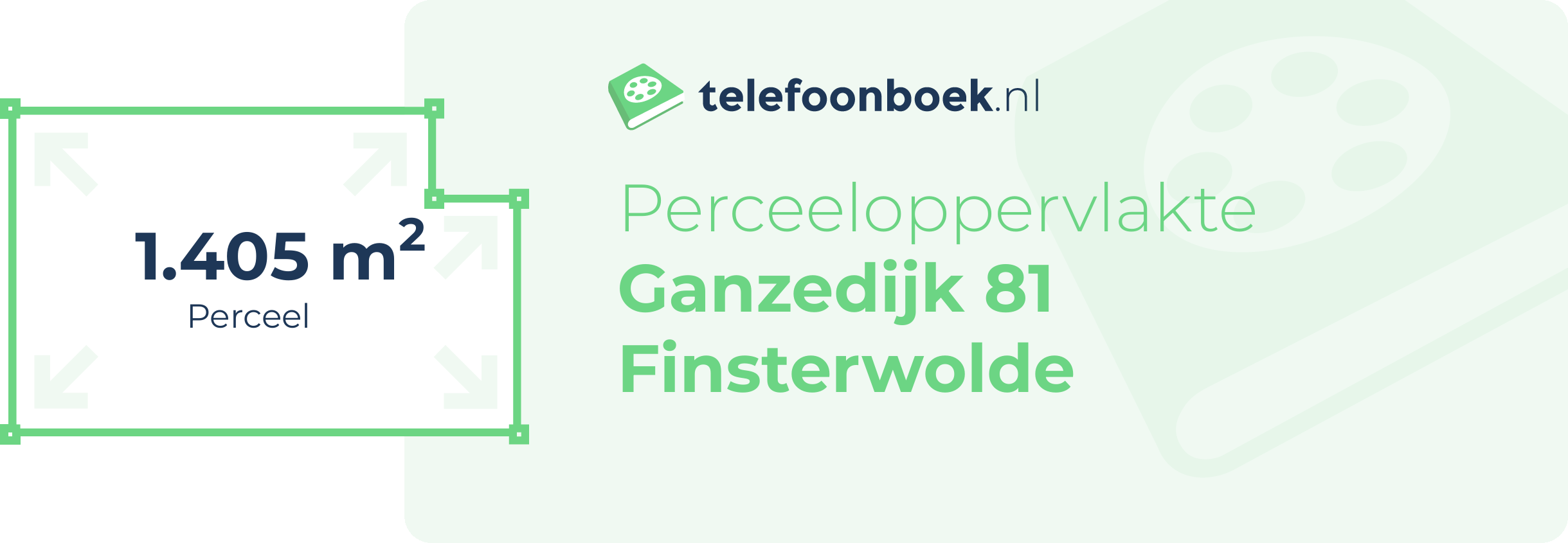 Perceeloppervlakte Ganzedijk 81 Finsterwolde