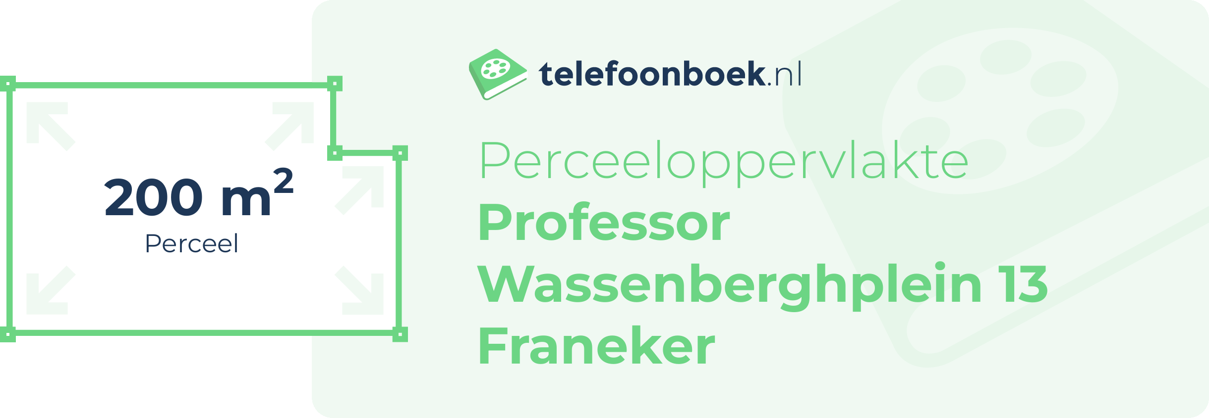 Perceeloppervlakte Professor Wassenberghplein 13 Franeker