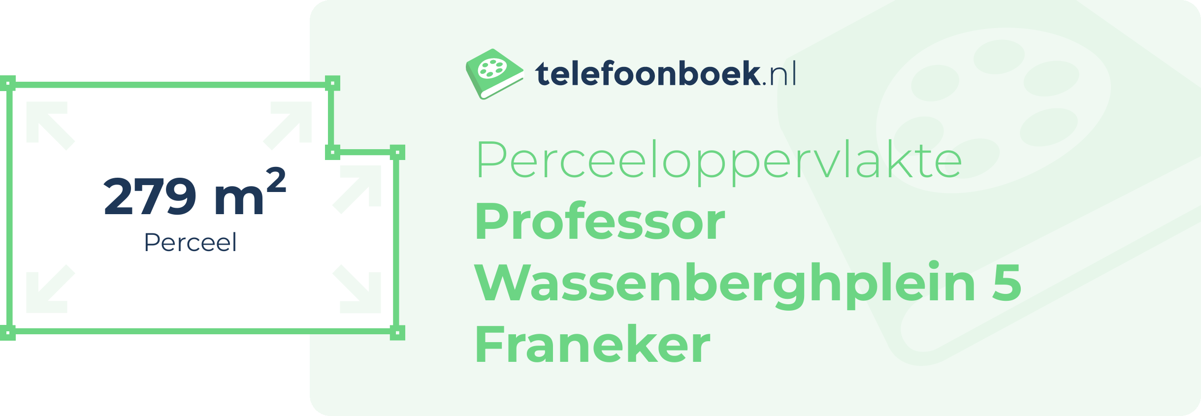 Perceeloppervlakte Professor Wassenberghplein 5 Franeker