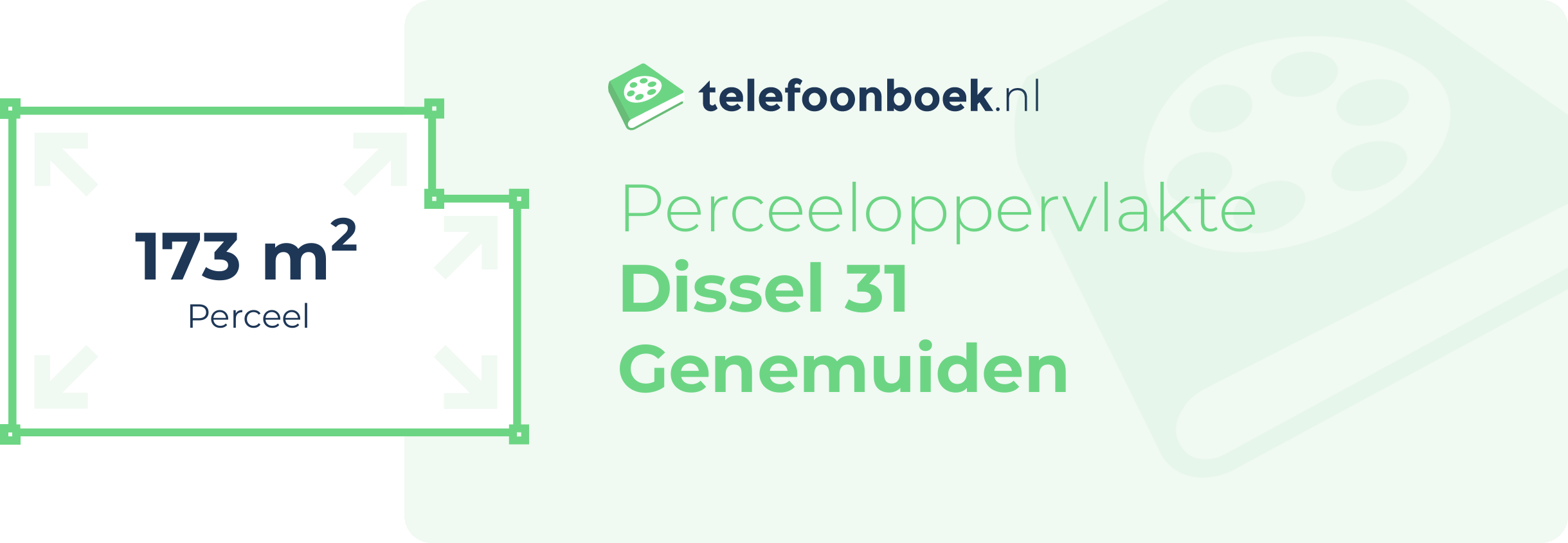 Perceeloppervlakte Dissel 31 Genemuiden