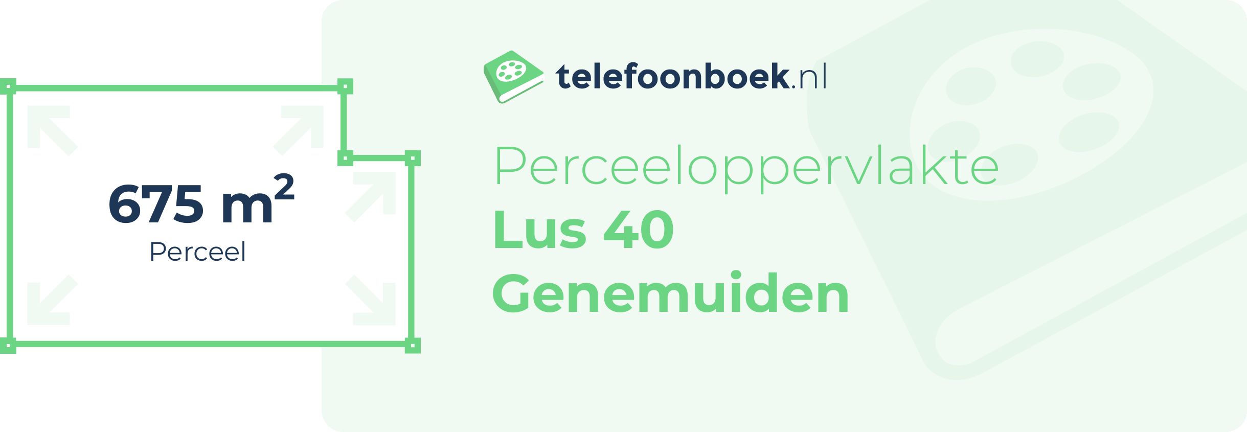 Perceeloppervlakte Lus 40 Genemuiden