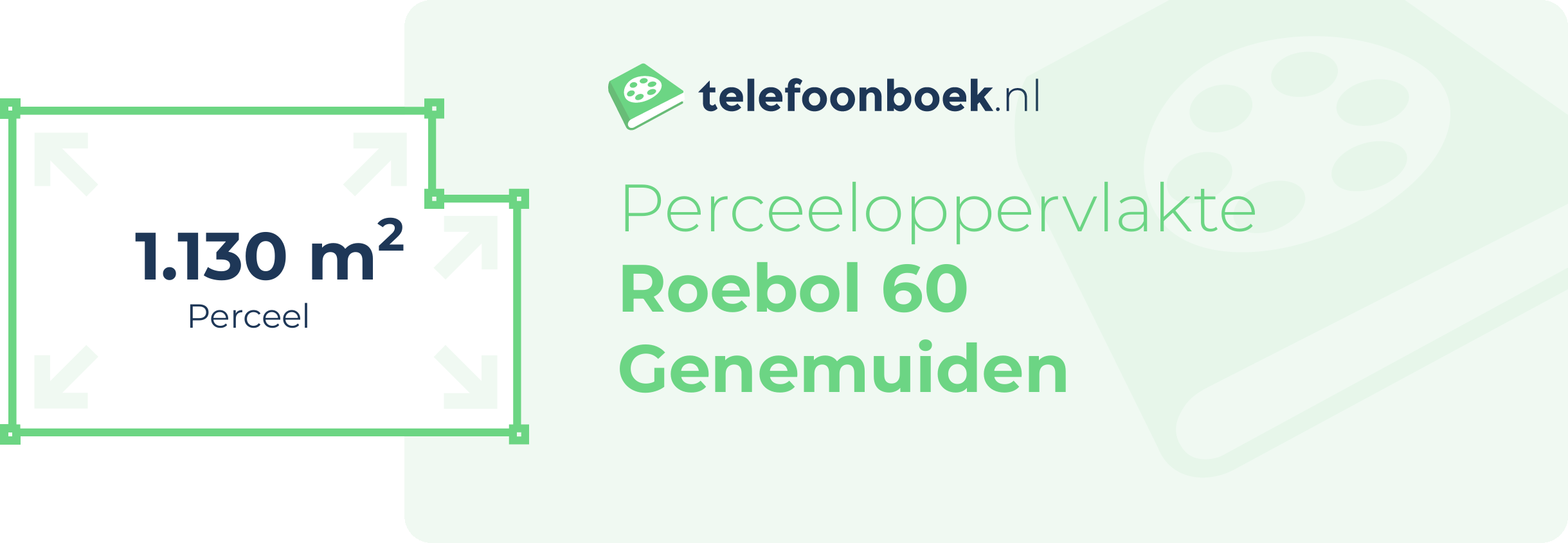 Perceeloppervlakte Roebol 60 Genemuiden