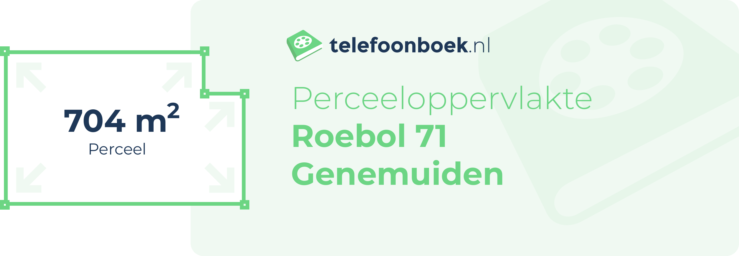 Perceeloppervlakte Roebol 71 Genemuiden