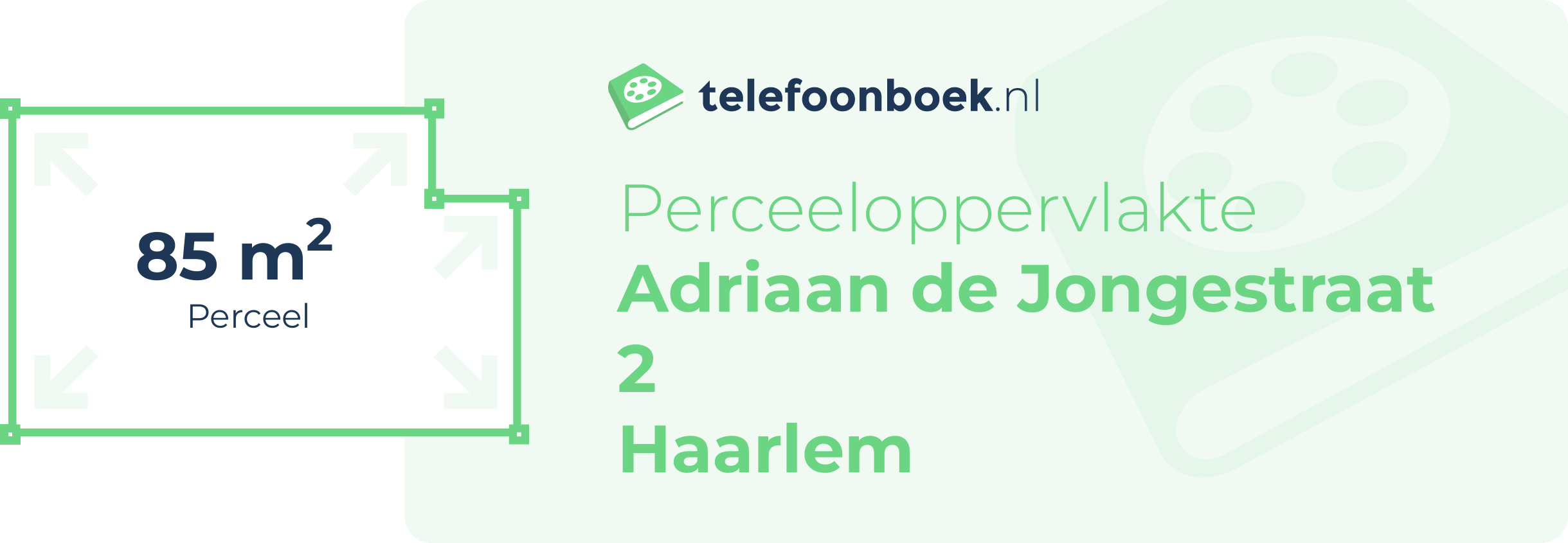 Perceeloppervlakte Adriaan De Jongestraat 2 Haarlem