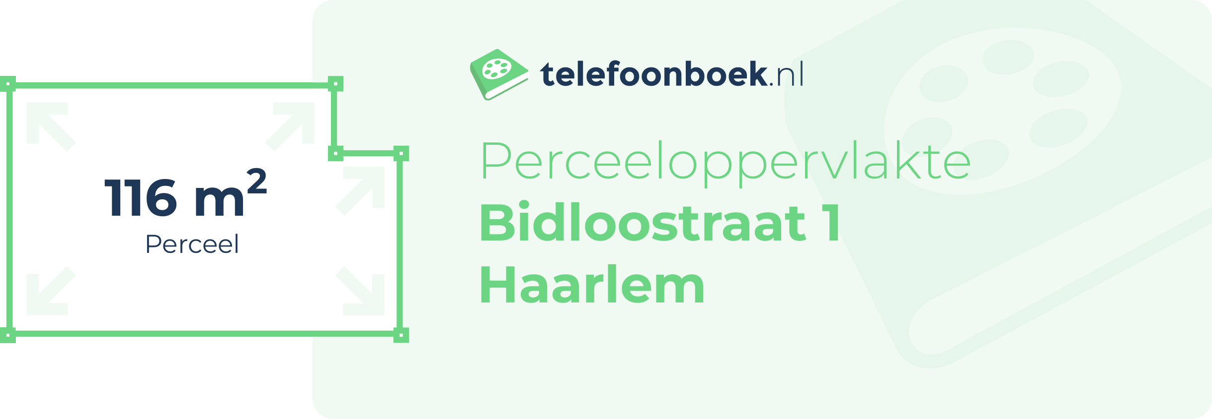 Perceeloppervlakte Bidloostraat 1 Haarlem