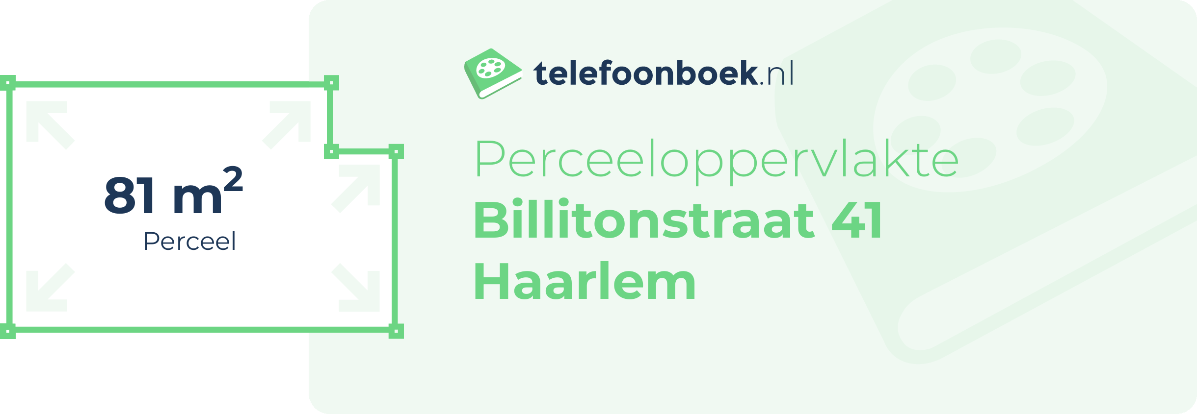 Perceeloppervlakte Billitonstraat 41 Haarlem