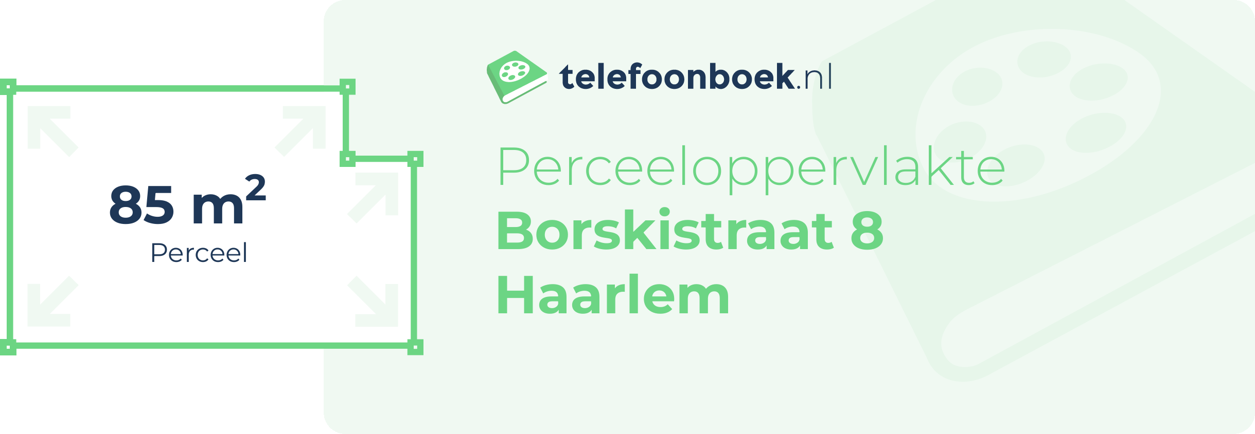 Perceeloppervlakte Borskistraat 8 Haarlem