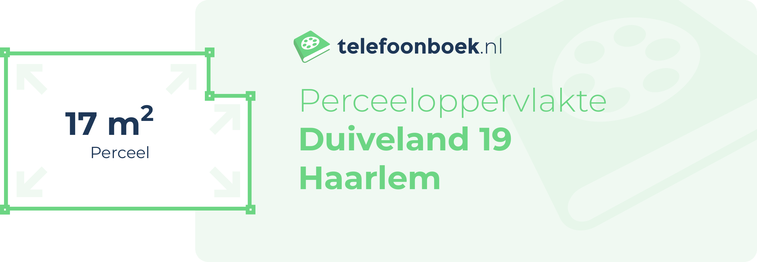 Perceeloppervlakte Duiveland 19 Haarlem