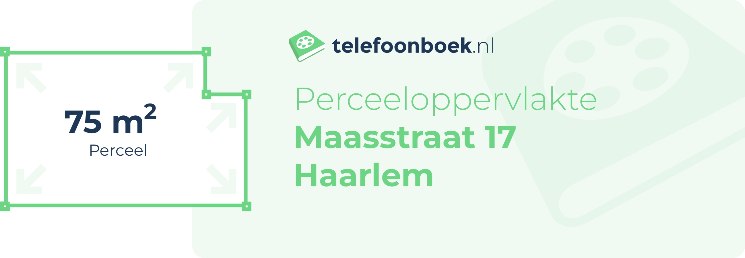 Perceeloppervlakte Maasstraat 17 Haarlem