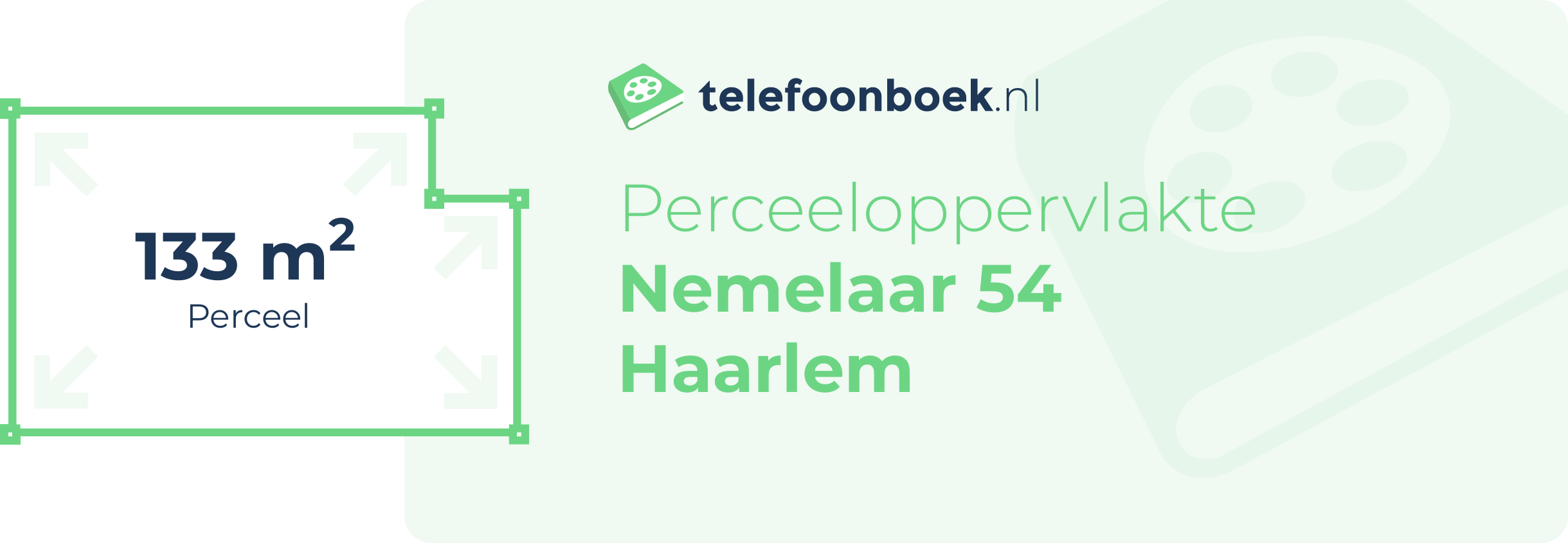 Perceeloppervlakte Nemelaar 54 Haarlem