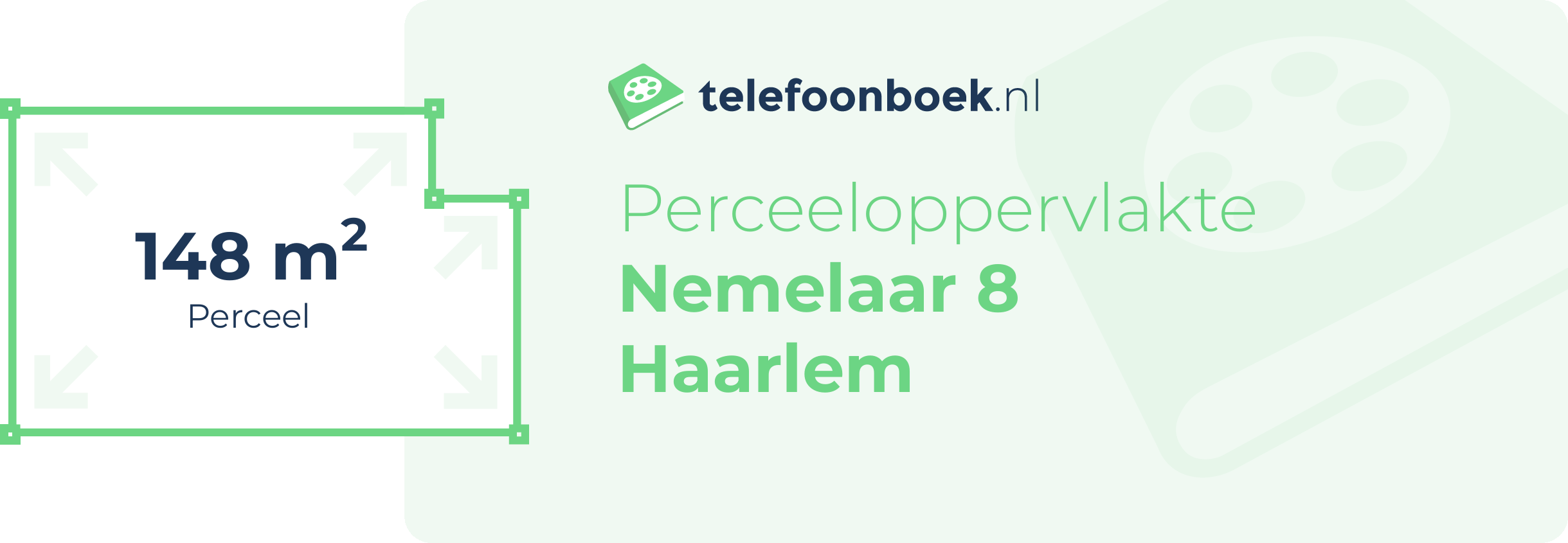 Perceeloppervlakte Nemelaar 8 Haarlem