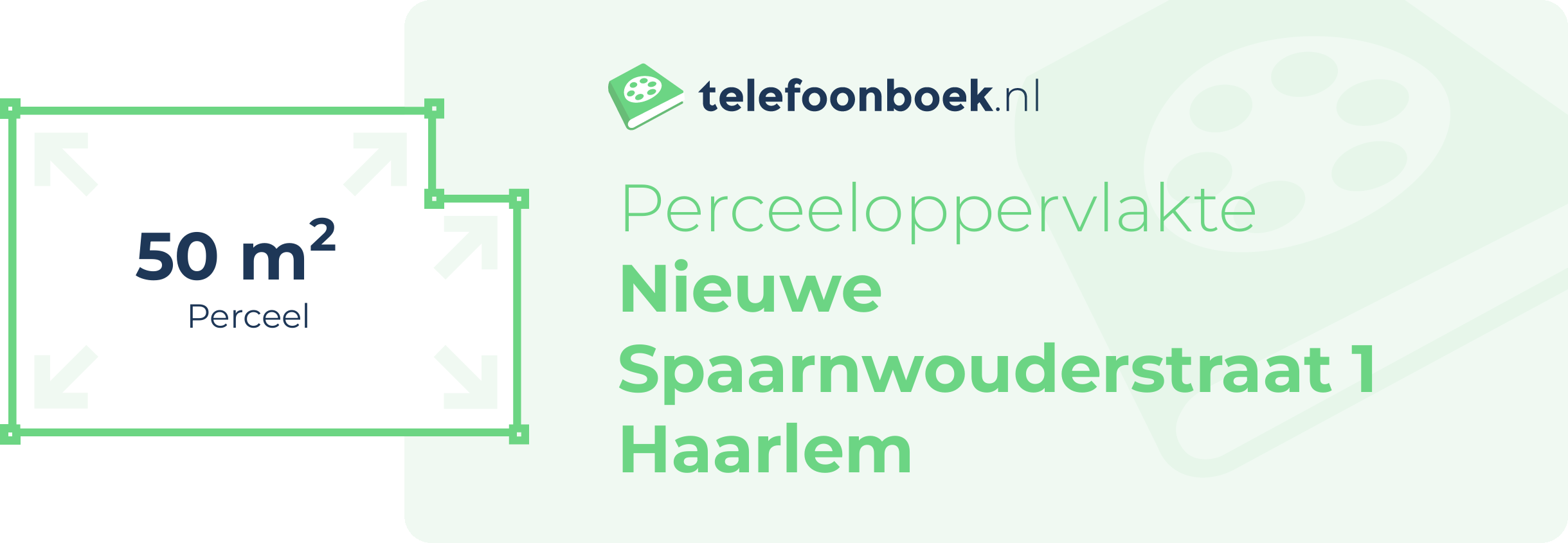 Perceeloppervlakte Nieuwe Spaarnwouderstraat 1 Haarlem