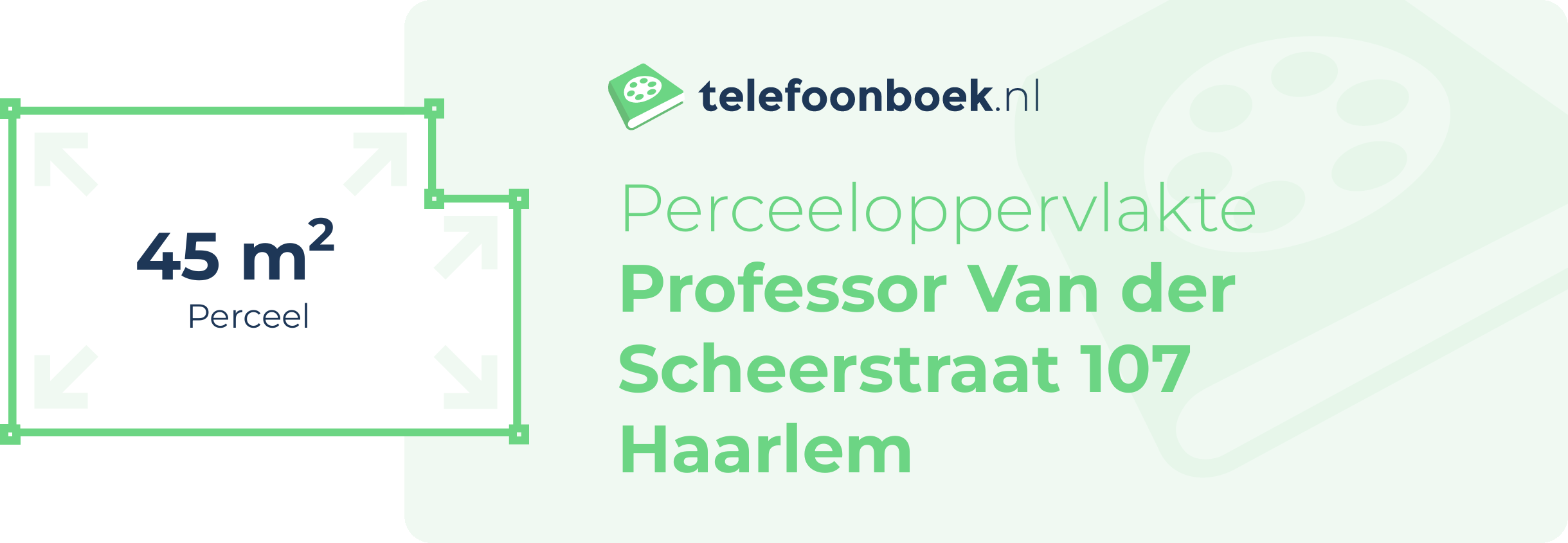 Perceeloppervlakte Professor Van Der Scheerstraat 107 Haarlem