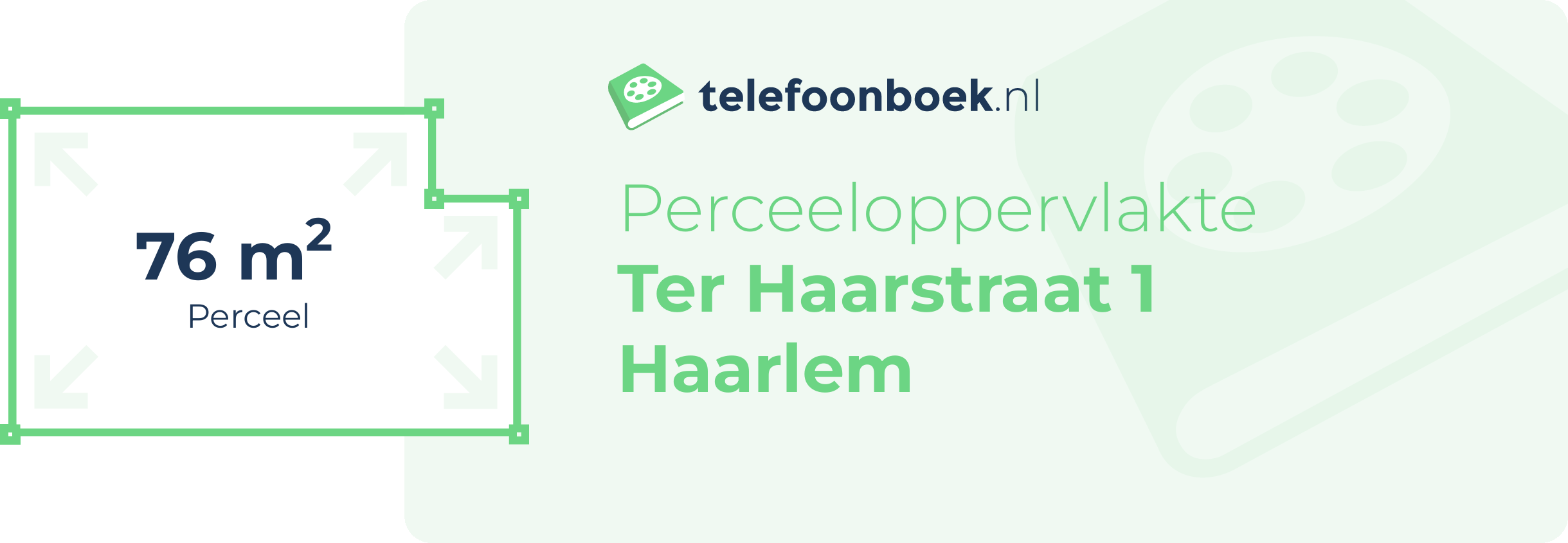 Perceeloppervlakte Ter Haarstraat 1 Haarlem